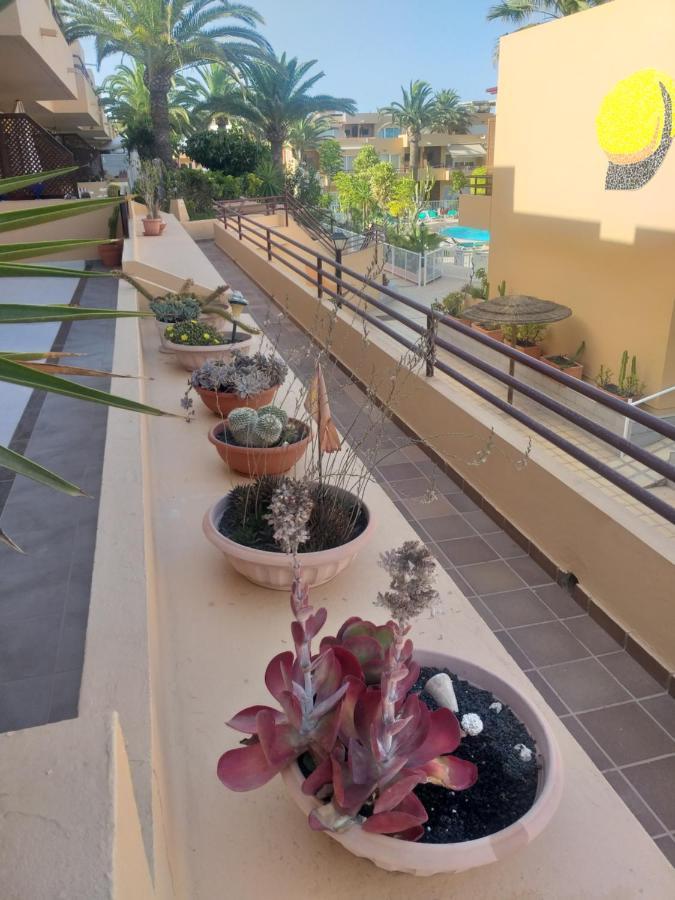 Casa El Nidillo Διαμέρισμα Κοραλέχο Εξωτερικό φωτογραφία